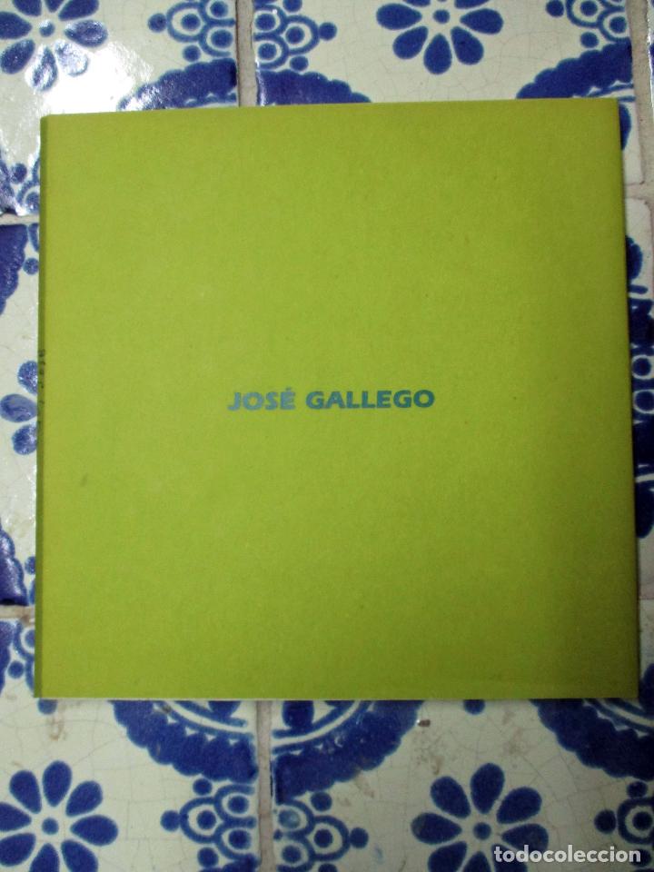 Arte: Jos&eacute; Gallego. M&aacute;laga 1996 - Foto 1
