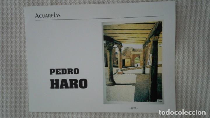 Arte: PEDRO HARO.-DIPUTACION DE GUADALAJARA