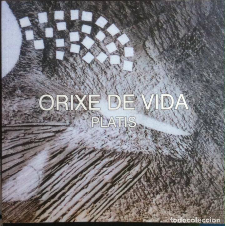 Arte: Platis. Orixe de vida. 2005 - Foto 1