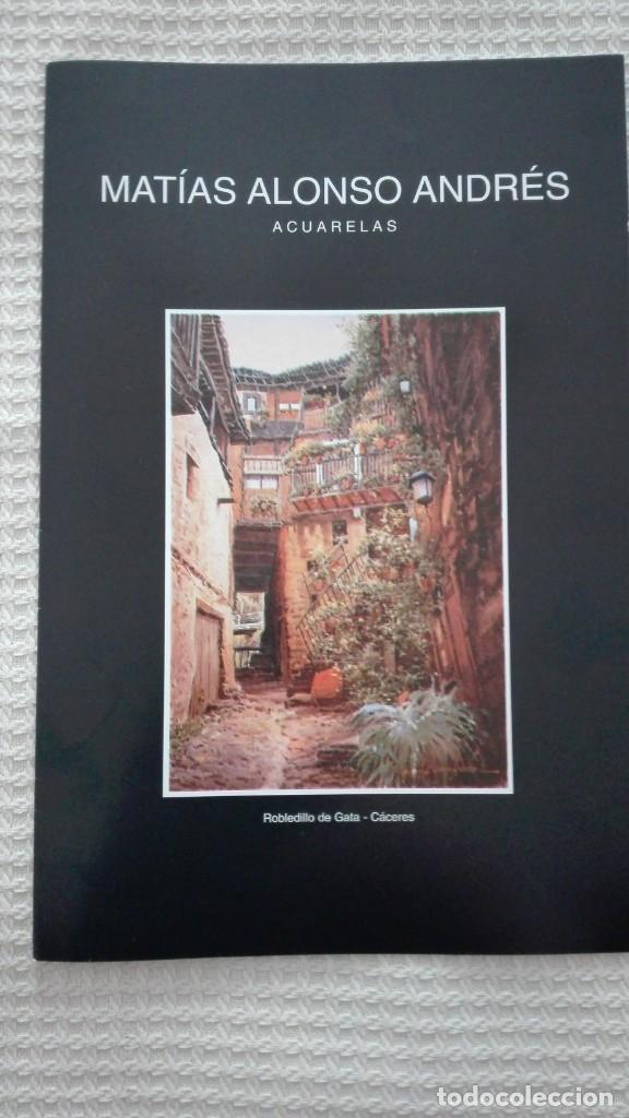 Arte: MATIAS ALONSO ANDRES.- GALERIA DE ARTE ZUCARO