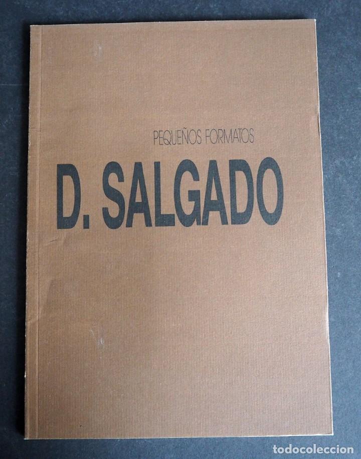 Arte: DEMETRIO SALGADO. CATALOGO. EDICIONES ESPALTER. PEQUE&Ntilde;OS FORMATOS 1989 - Foto 1