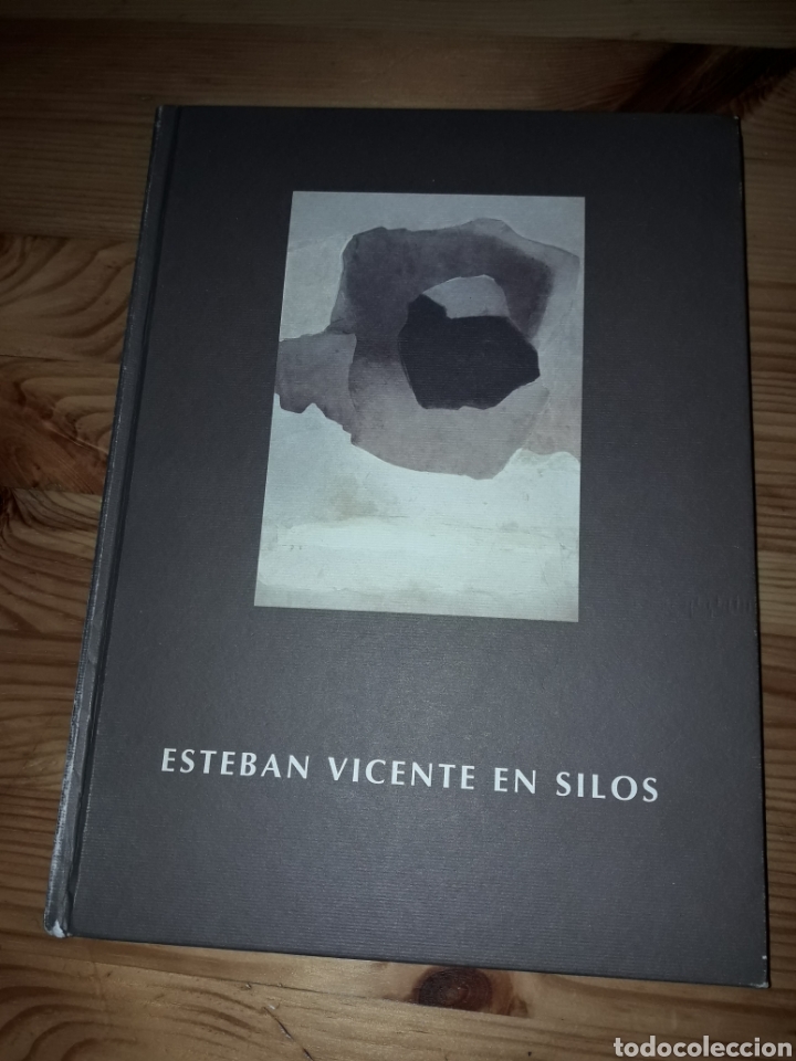 Arte: Esteban Vicente en Silos Arte Pintura
