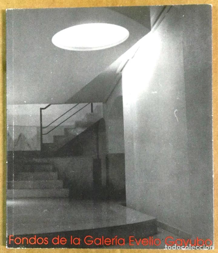 Arte: Fondos de la Galer&iacute;a Evelio Gayubo, Zamora, 1990-1991