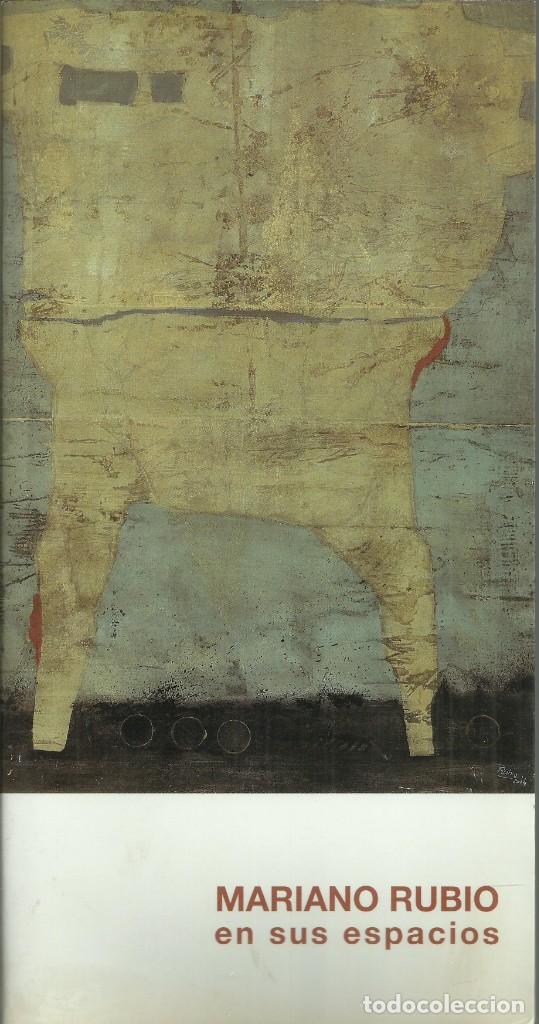 Arte: Mariano Rubio, en sus espacios. Jaca 2004 - Foto 1