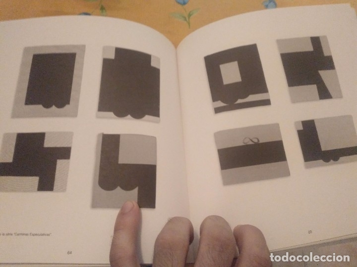 Art: CATALOGO LOS CAMPOS INCIERTOS JESUS OTERO - YGLESIAS FUNDACIO PILAR I JOAN MIRO MALLORCA 2004