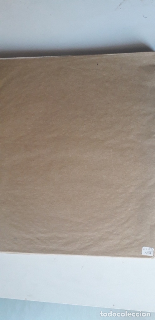 Arte: ANIMALA EST - JOS&Eacute; MOREA - Foto 3