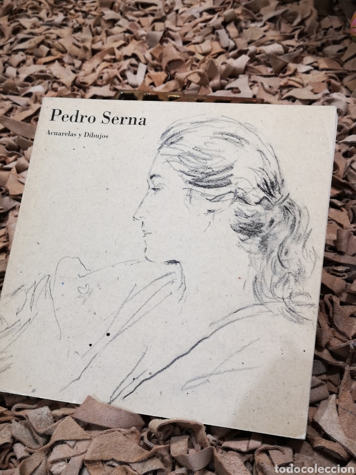 Arte: Pedro Serna dibujos y acuarelas 1990 - Foto 1