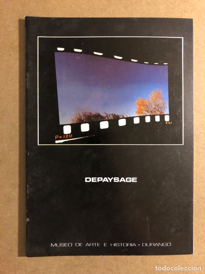 Arte: ESCUELA NACIONAL DE FOTOGRAF&Iacute;A ARLES &ldquo;DEPAYSAGE&rdquo;. CAT&Aacute;LOGO EXPOSICI&Oacute;N MUSEO ARTE E HISTORIA, DURANGO