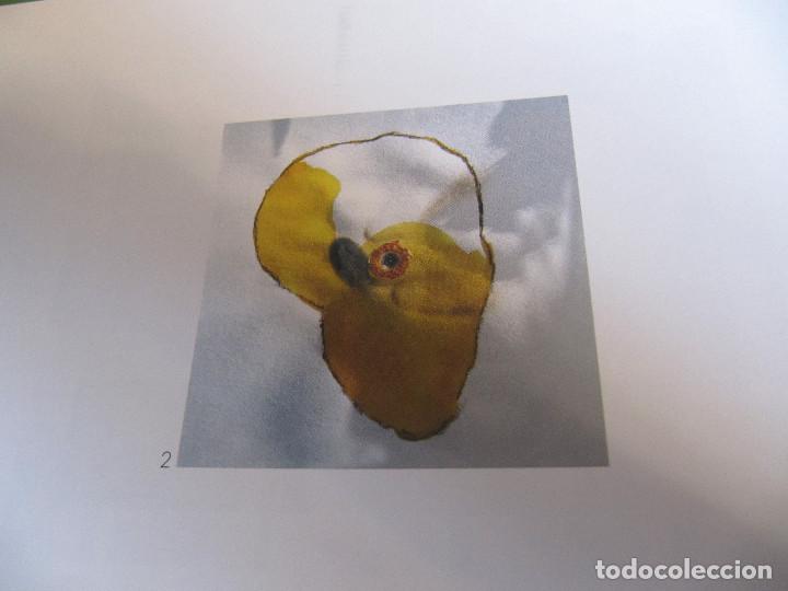 Arte: ESPACIO PERMANENTE DE ARTE EXPERIMENTAL - Foto 2