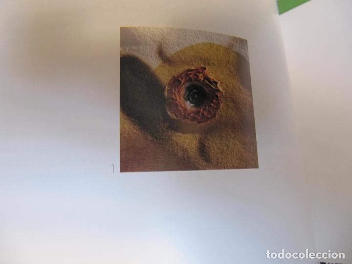 Arte: ESPACIO PERMANENTE DE ARTE EXPERIMENTAL - Foto 3