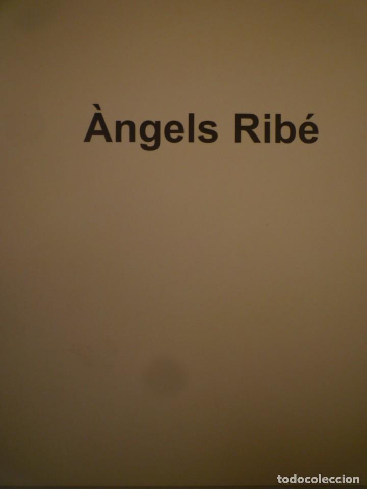 Arte: &Agrave;NGELS RIB&Eacute;. FUNDACI&Oacute; VILA CASAS. 2003 - Foto 1