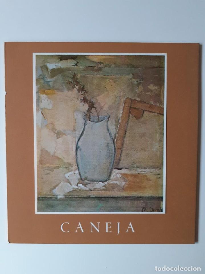 Arte: Cat&aacute;logo Caneja - Galer&iacute;a Theo (Madrid) - 1970