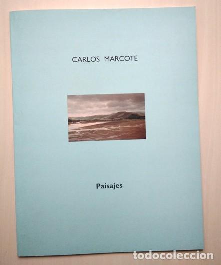 Arte: Carlos Marcote (Salvatierra 1950) &lsquo;Paisajes&rsquo;. Texto Daniel Castillejo. Espacio Caja Burgos, 2000