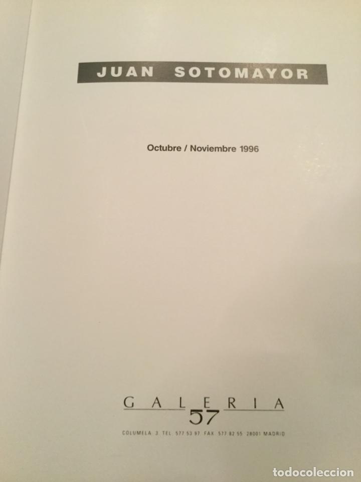 Arte: Libro de Juan Sotomayor - Foto 2