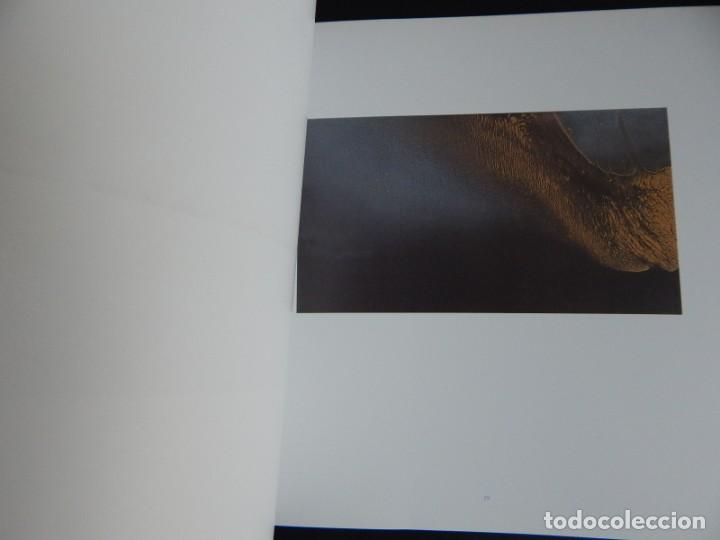 Arte: Celsius vs. Richter - Jes&uacute;s M&ordf; Corm&aacute;n, 2001 - Foto 11