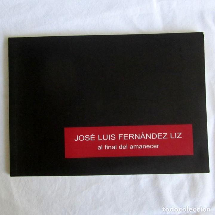 Arte: Cat&aacute;logo Jos&eacute; Luis Fern&aacute;ndez Liz, Al final del manecer 2009, Ciudad Lineal: l&iacute;neas artes