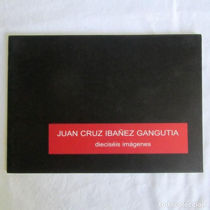 Arte: Cat&aacute;logo Juan Cruz Iba&ntilde;ez Gangutia, dieciseis im&aacute;genes 2008 Ciudad lineal, l&iacute;nea artes