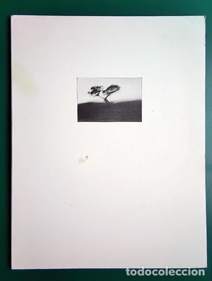 Arte: Antonio Tocornal (C&aacute;diz 1964). (0418 &agrave; 0424) &middot; Galerie Gutharc-Ballin. Par&iacute;s, 1990