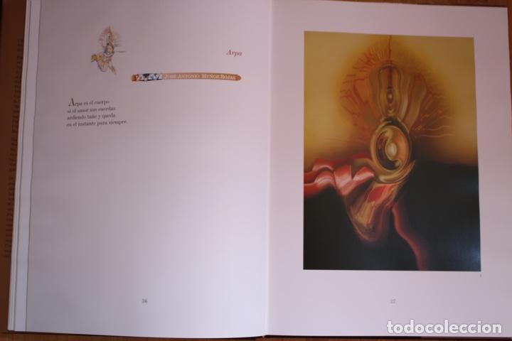 Arte: BORNOY, PEPE (Málaga 1942).Catálogo/libro de tapas duras con sobrecubierta de 25x33,5, NATURAS. - Foto 3 - 224743455