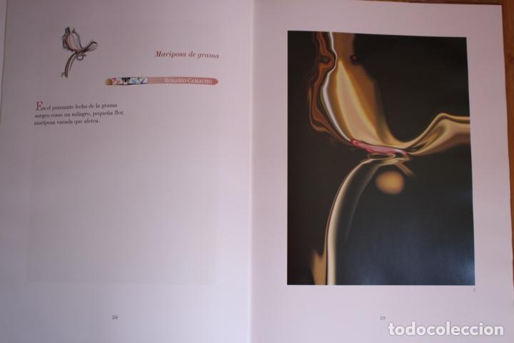 Arte: BORNOY, PEPE (Málaga 1942).Catálogo/libro de tapas duras con sobrecubierta de 25x33,5, NATURAS. - Foto 4 - 224743455