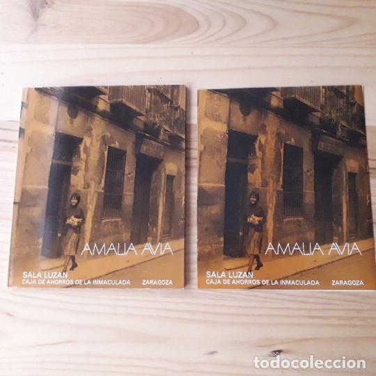 Art: AMALIA AVIA, Catalogo Sala Luzan 1980