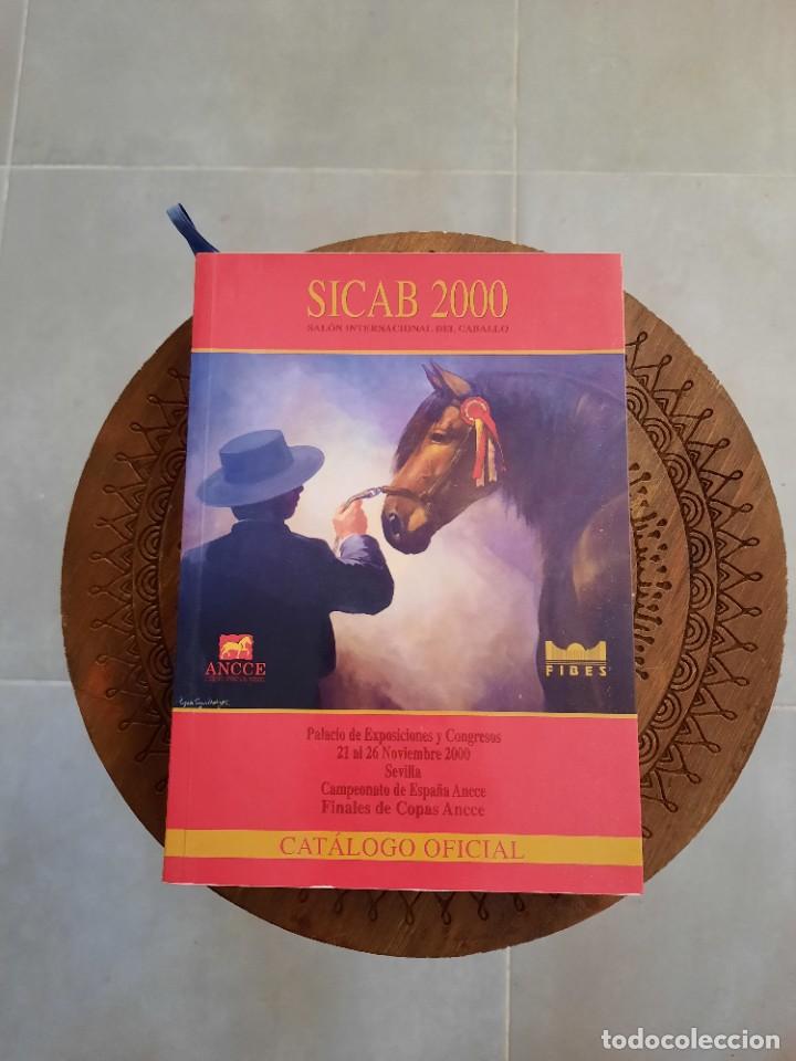 Arte: Catalogo Sicab 2000 - Foto 1
