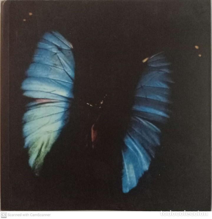 Arte: Sin fin (cat&aacute;logo) [Mayte Vieta] - Foto 1