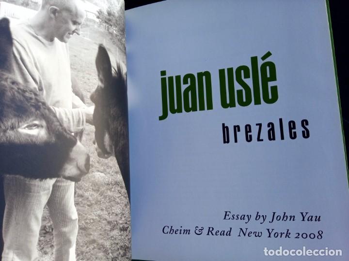 Arte: JUAN USL&Eacute; - BREZALES - Foto 2