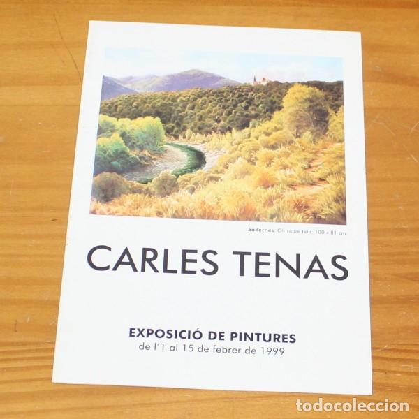 Arte: CARLES TENAS. DIPTICO EXPOSICION SANT JORDI, BARCELONA 1999