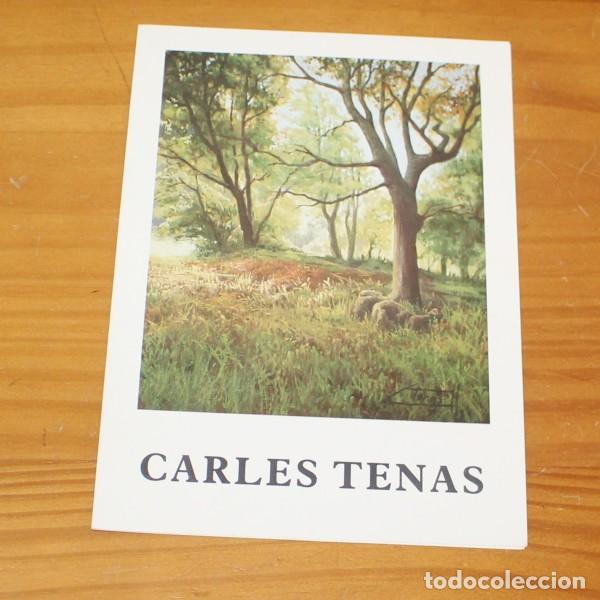 Arte: CARLES TENAS. DIPTICO EXPOSICION FIGUERES 1997