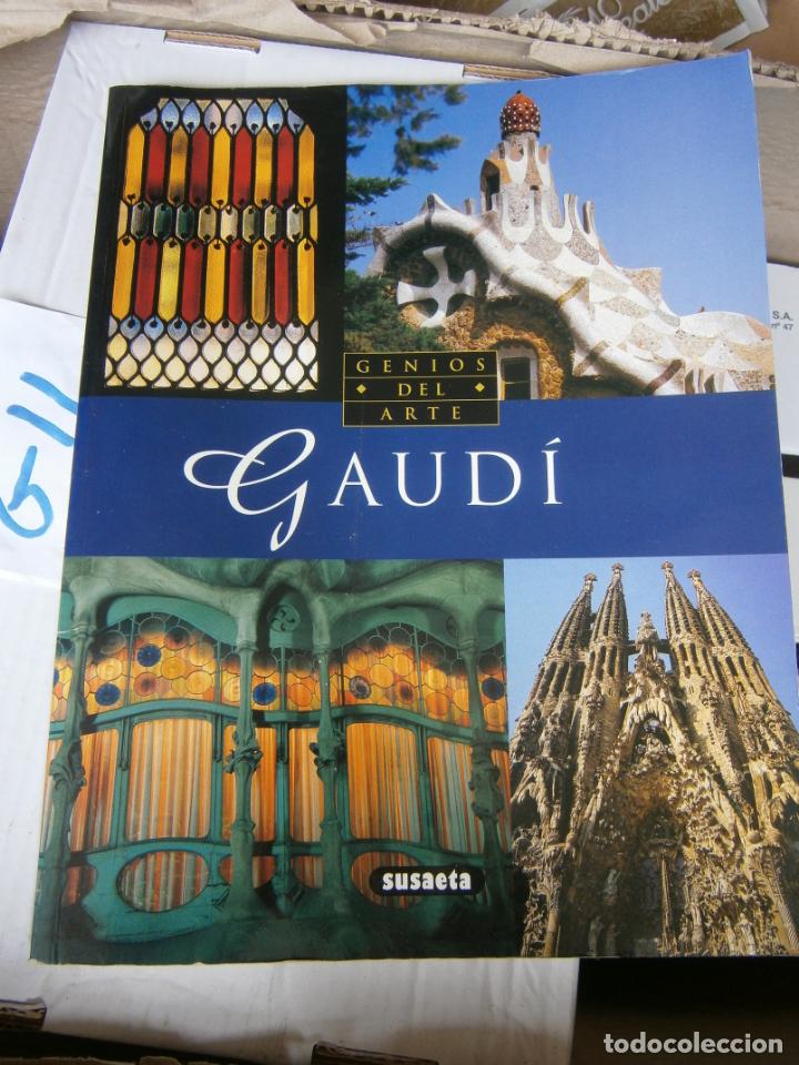Arte: GENIOS DEL ARTE - GAUDI - Foto 1