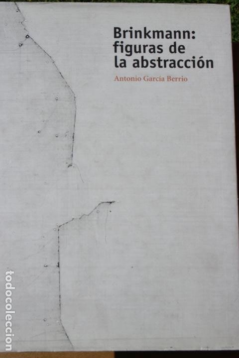 Arte: Brinkmann: figuras de la abstracción. Antonio García Berrio. 30,2 x 25 cm.414 pág. Muy buen estado. - Foto 1 - 266290153