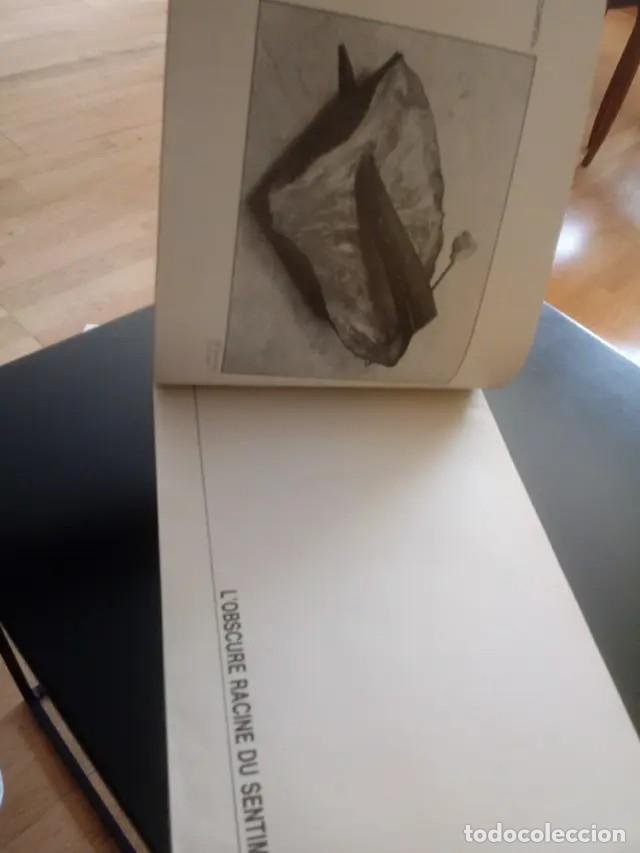 Arte: Ricardo Calero - Foto 6