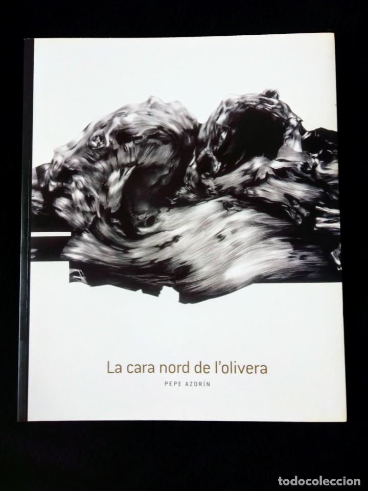 Arte: Libro catalogo la cara Nord de la Olivera - Foto 1