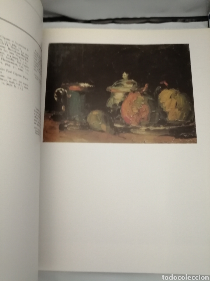 Arte: PAUL C&Eacute;ZANNE (CAT&Aacute;LOGO EXPOSICI&Oacute;N) - Foto 5