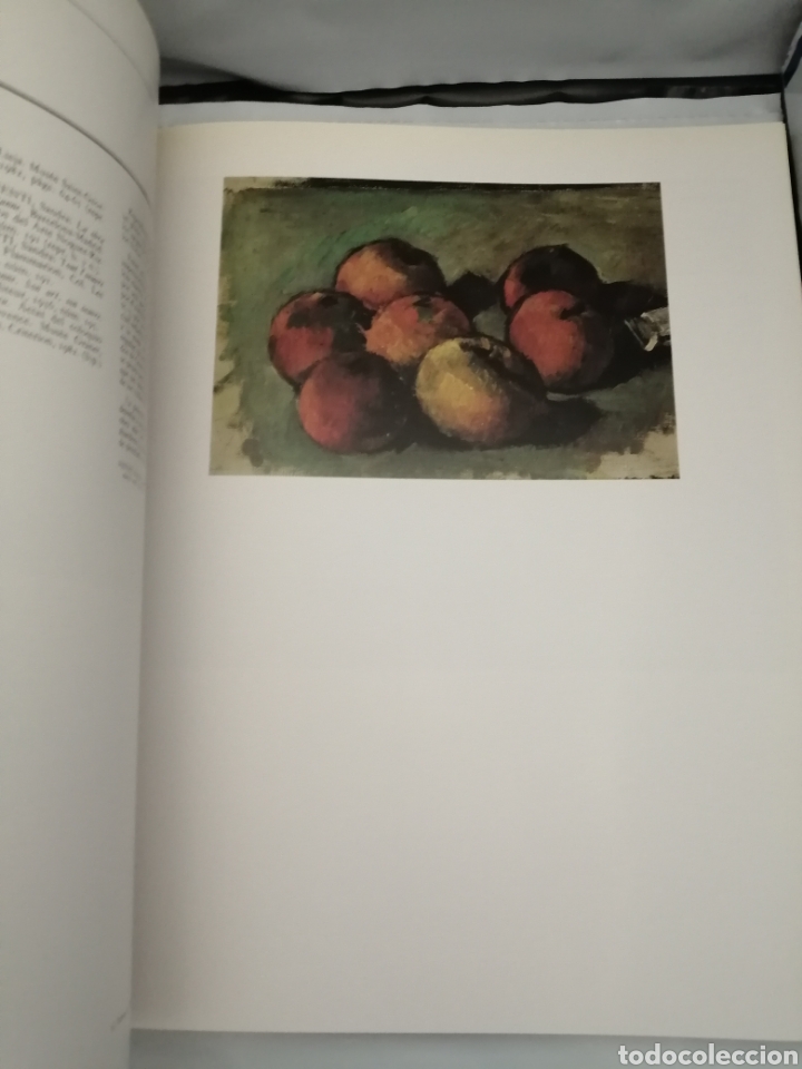 Arte: PAUL C&Eacute;ZANNE (CAT&Aacute;LOGO EXPOSICI&Oacute;N) - Foto 6
