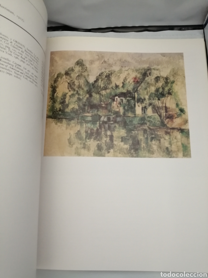 Arte: PAUL C&Eacute;ZANNE (CAT&Aacute;LOGO EXPOSICI&Oacute;N) - Foto 7