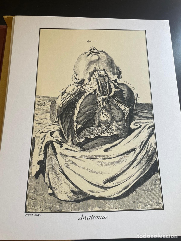 Arte: Images des sciences Michel ROUZ&Eacute; 1974 - Foto 7