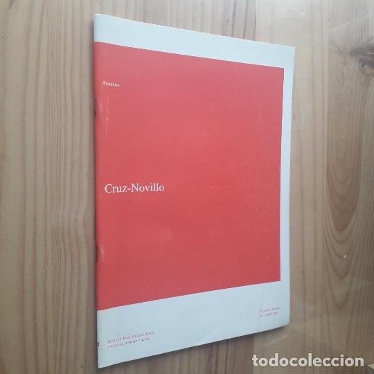 Arte: CAT&Aacute;LOGO CRUZ-NOVILLO (ANSELMO &Aacute;LVAREZ GALER&Iacute;A DE ARTE 1995)