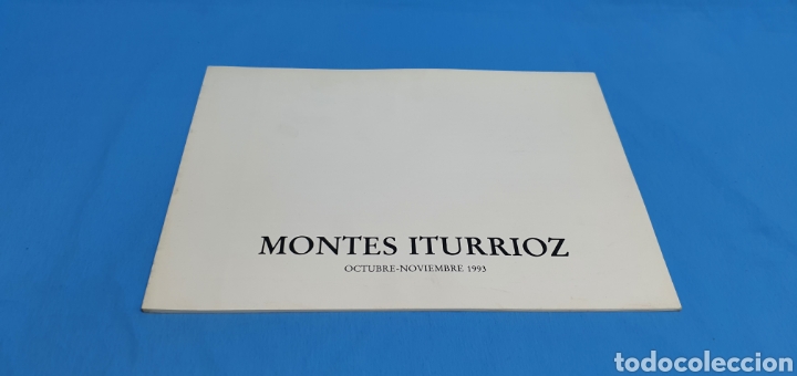 Arte: LIBRO CATALOGO MONTES ITURRIOZ 1993 - Foto 1