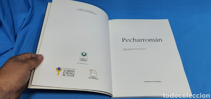 Arte: LIBRO CATALOGO PECHARROMAN , EXTREMADURA 2000 - Foto 2