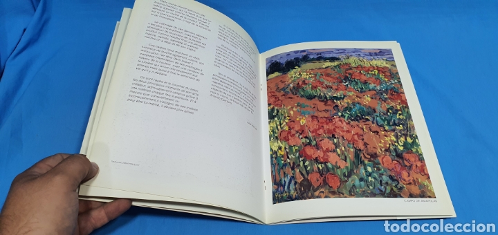 Arte: LIBRO CATALOGO ANTONIO CARRILERO 1990 - Foto 4