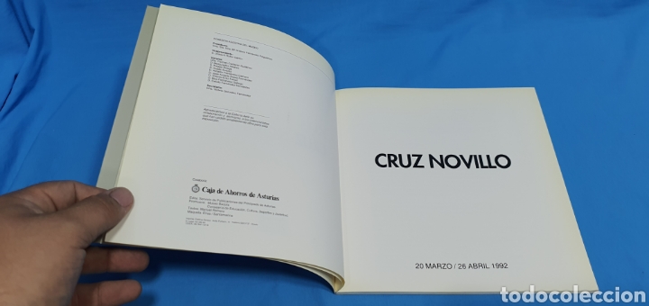 Arte: LIBRO CATALOGO CRUZ NOVILLO 1992 - Foto 2
