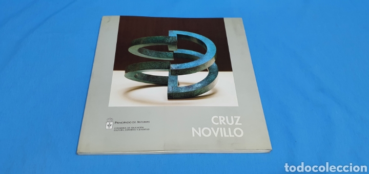 Arte: LIBRO CATALOGO CRUZ NOVILLO 1992 - Foto 1