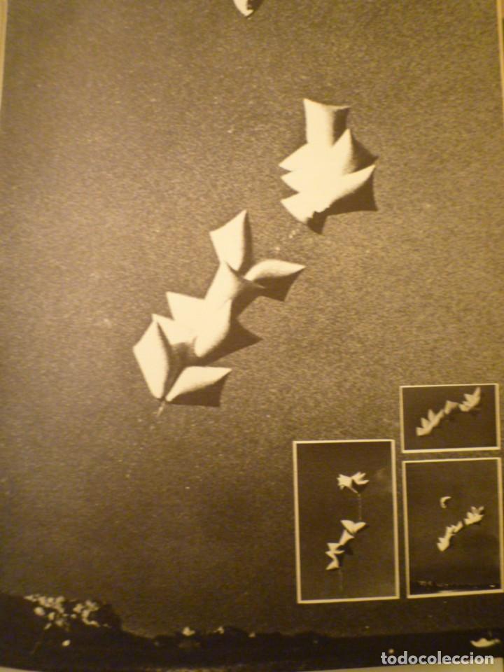 Arte: JOSEP PONSAT&Iacute;. INFLABLE D&rsquo;EIVISSA. 1971 - Foto 3