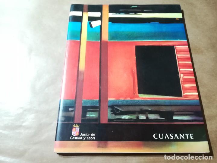 Arte: CUASANTE / 1995 JUNTA CASTILLA Y LEON / AP804 - Foto 1