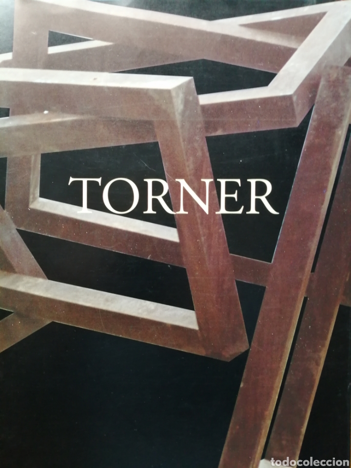 Arte: TORNER. La rectitud de las cosas. Diputaci&oacute;n de Granada. - Foto 1
