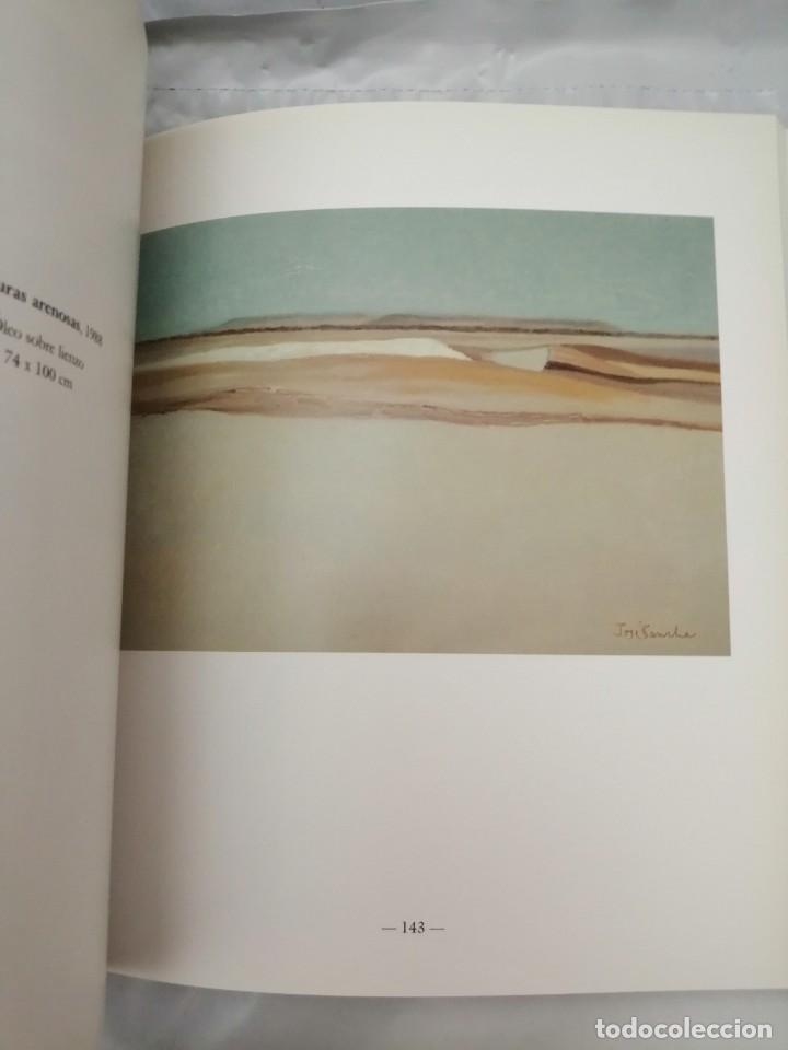 Arte: JOS&Eacute; SANCHA (CAT&Aacute;LOGO EXPOSICI&Oacute;N) - Foto 4