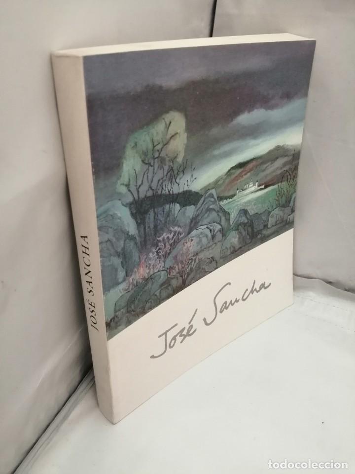 Arte: JOS&Eacute; SANCHA (CAT&Aacute;LOGO EXPOSICI&Oacute;N) - Foto 9