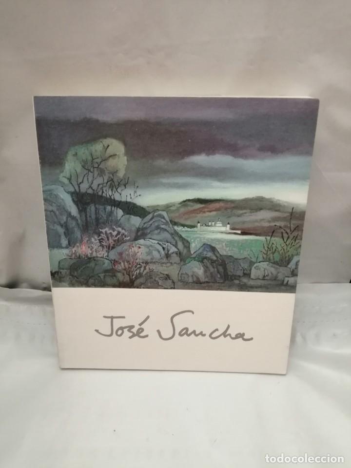Arte: JOS&Eacute; SANCHA (CAT&Aacute;LOGO EXPOSICI&Oacute;N) - Foto 1